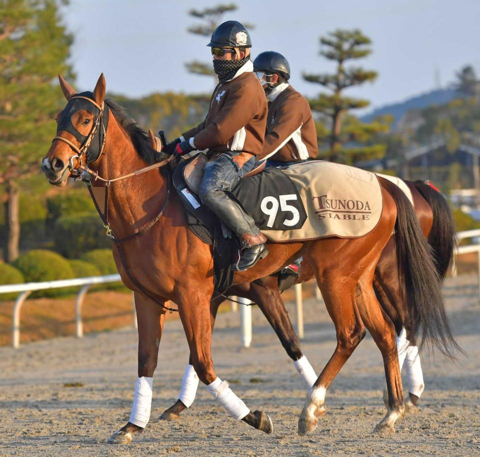 　調整は順調なイベリス（撮影・石湯恒介）