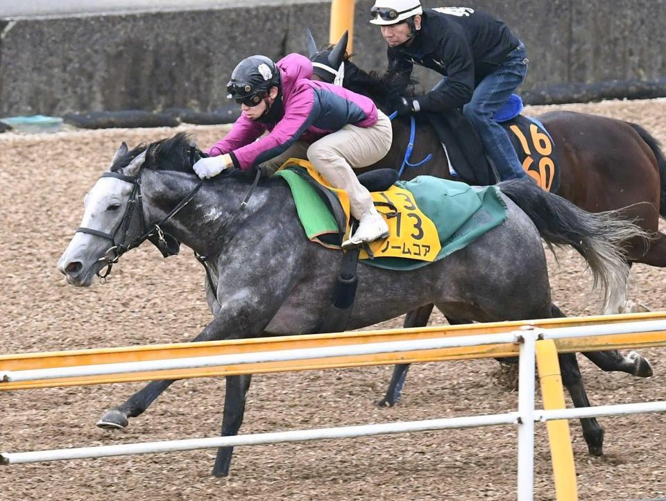 　併走馬を一瞬で突き放したノームコア（手前）