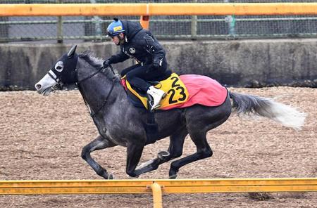 　松岡とのコンビも最後となるウインファビラス