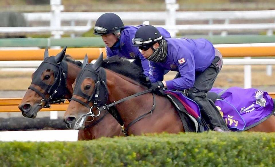 　マカヒキ（奥）とワグネリアンによるダービー馬の豪華併せ馬が実現（撮影・石湯恒介）