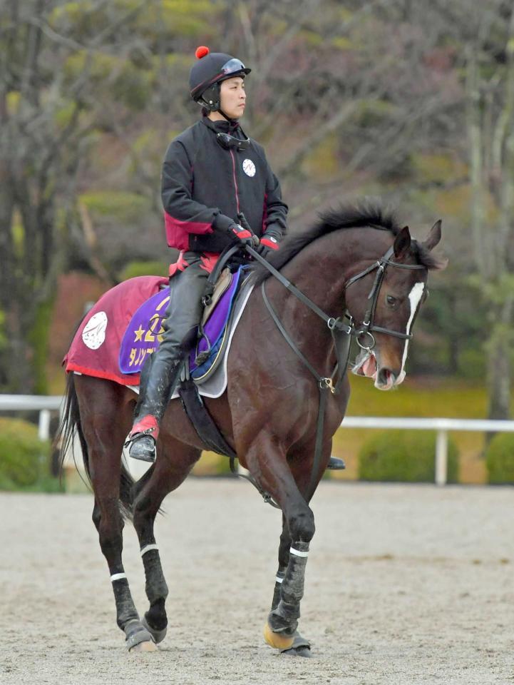 　久々の実戦で復権をアピールしたいダノンプレミアム（撮影・石湯恒介）