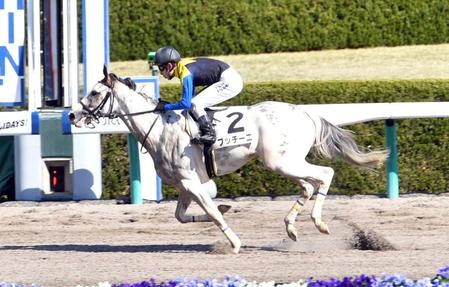 阪神２Ｒ、１着でゴールするブッチーニ＝阪神競馬場（撮影・佐藤厚）
