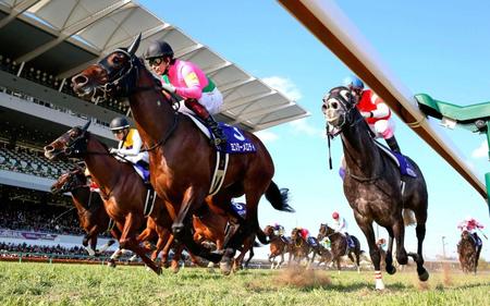 　高松宮記念を制したミスターメロディ（手前）。左から２頭目は２着のセイウンコウセイ