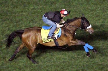 　ルメールを背に、芝コースを伸びやかに駆けるアーモンドアイ