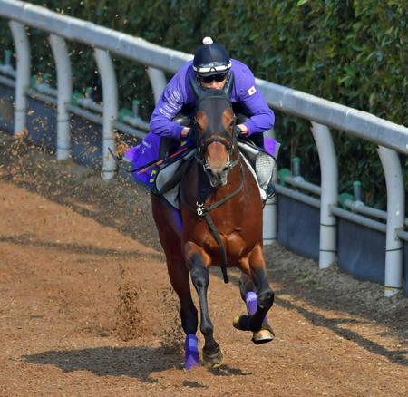 　栗東坂路で好ムードを漂わせたワグネリアン