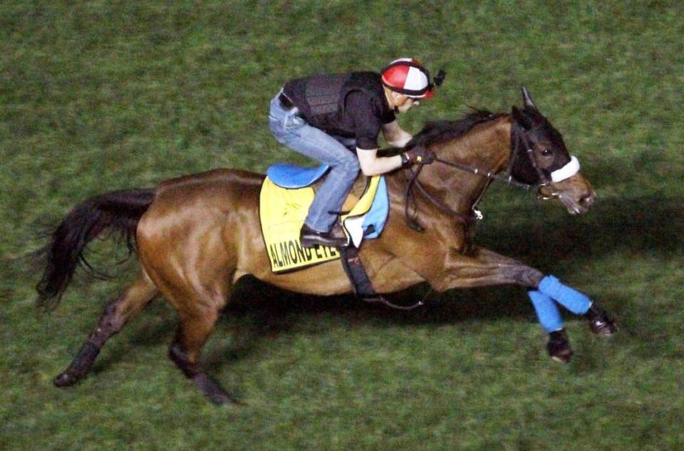 　ルメールを背に、芝コースを伸びやかに駆けるアーモンドアイ