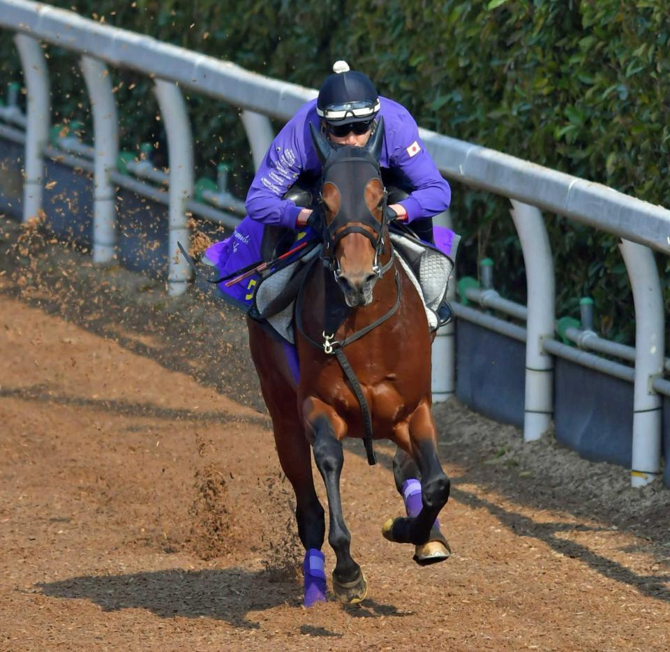 　栗東坂路で好ムードを漂わせたワグネリアン