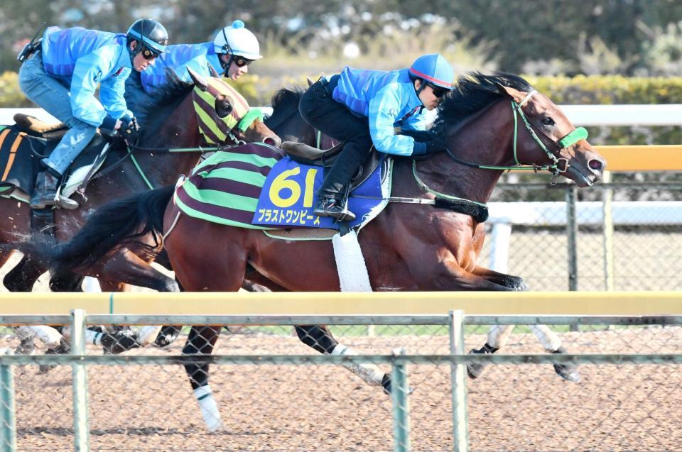 【大阪杯】ブラストワンピース万全 大竹師絶賛"理想の馬体 ...