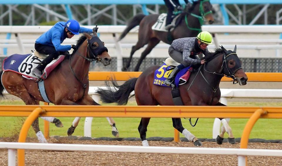 　栗東ＣＷで追い切るエポカドーロ（右）