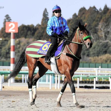 　充実ぶりが目を引くブラストワンピース