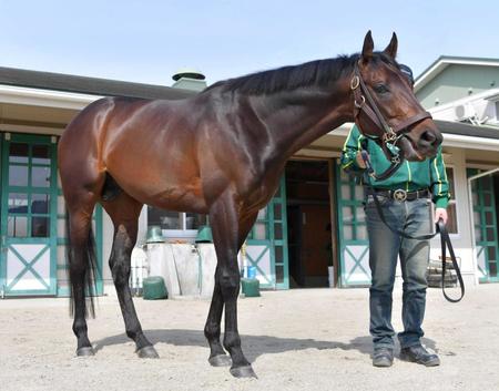 　６枠９番からのスタートに決まったエアウィンザー