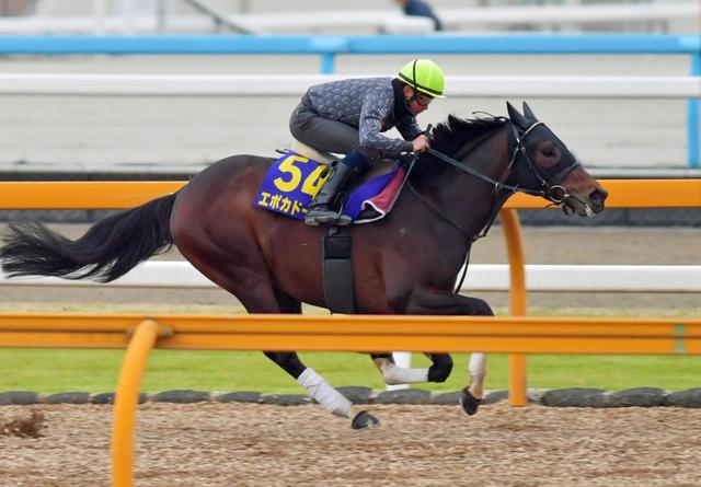 【大阪杯】馬場状態から浮上するのはこの馬だ