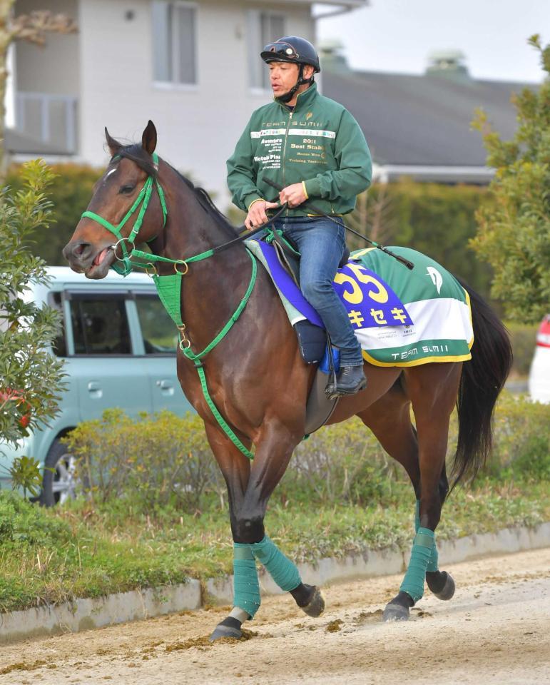 　パワーアップしたキセキ