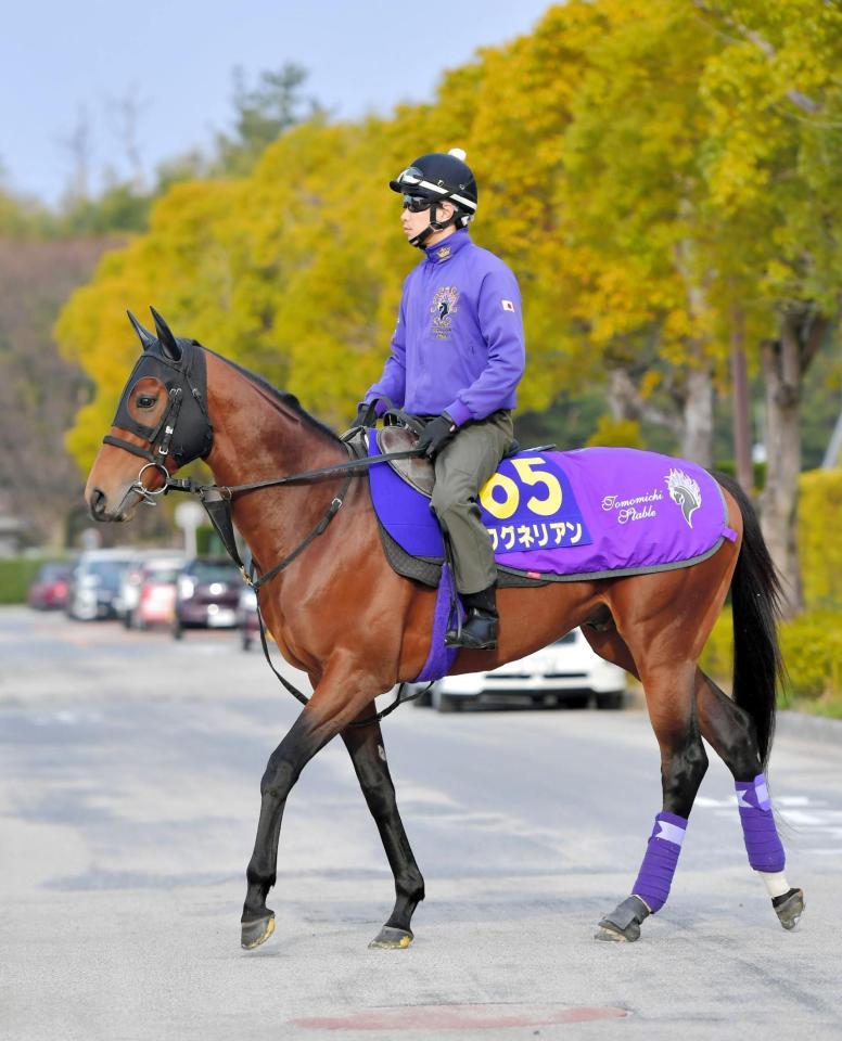 　２枠２番に決定したワグネリアン