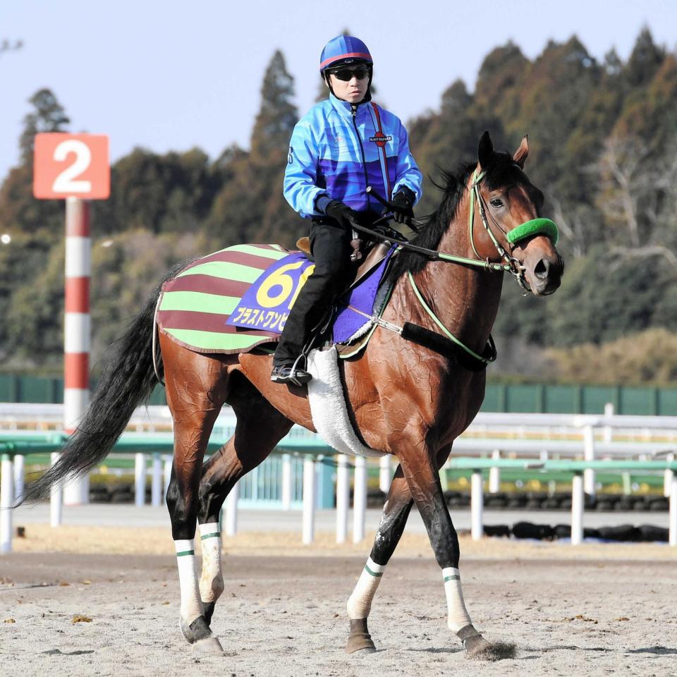 　充実ぶりが目を引くブラストワンピース