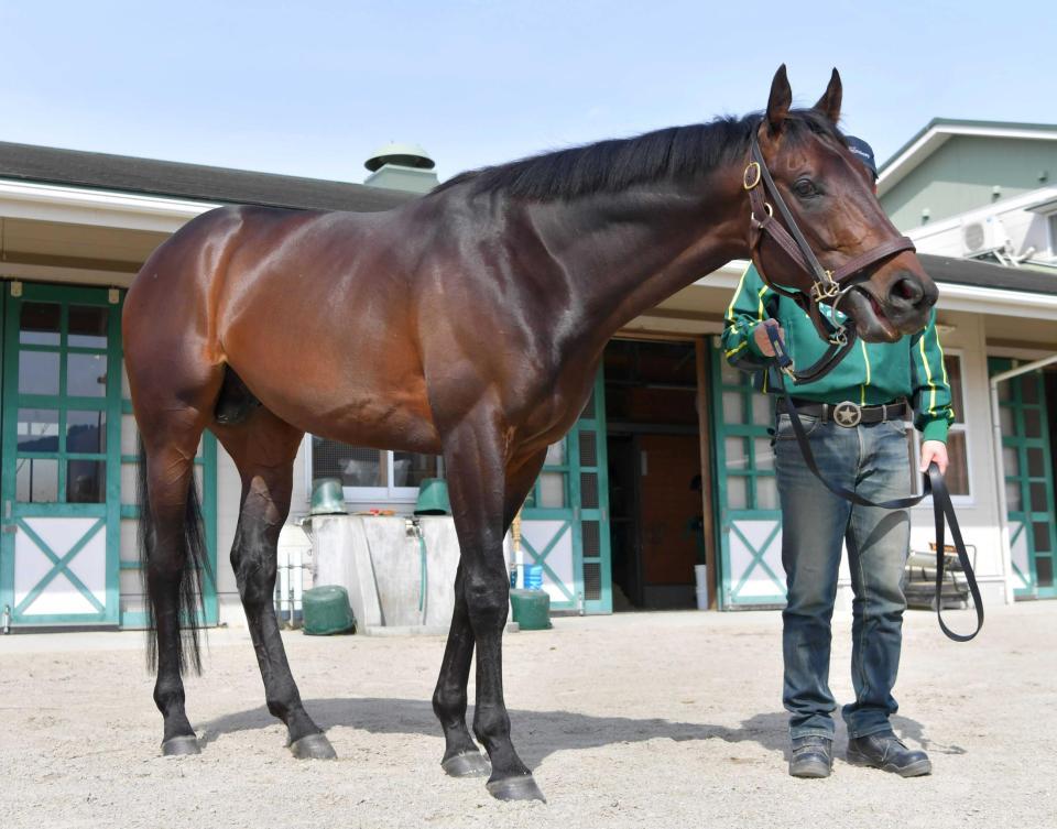 　６枠９番からのスタートに決まったエアウィンザー