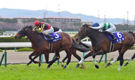 　Ｇ１大阪杯を制したディープインパクト産駒のアルアイン（左）