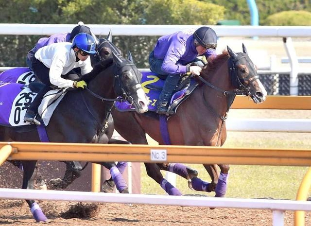 【皐月賞】アドマイヤマーズ完調目前　友道師「もう一回やればかわる」