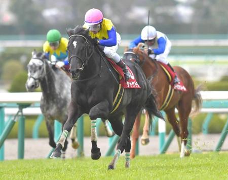 　３月の阪神大賞典を制したシャケトラ