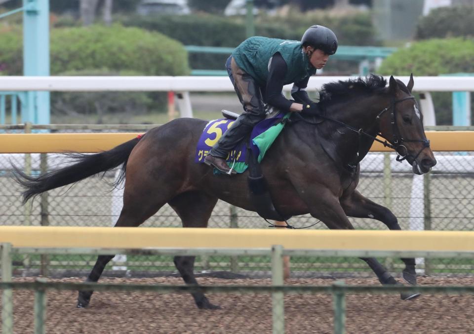 　ウッドチップコースで追われるグランアレグリア