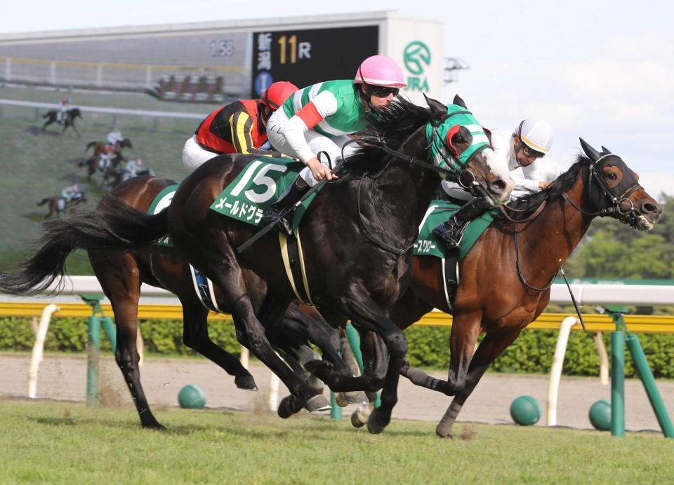 æ–°æ½Ÿå¤§è³žå…¸ ãƒ¡ãƒ¼ãƒ«ãƒ‰ã‚°ãƒ©ãƒ¼ã‚¹é‡è³žåˆï½– ç›´ç·šä¸€æ°—ã§å¹³æˆãƒ©ã‚¹ãƒˆã‚¿ã‚¤ãƒˆãƒ« ç«¶é¦¬ ãƒ¬ãƒ¼ã‚¹ ãƒ‡ã‚¤ãƒªãƒ¼ã‚¹ãƒãƒ¼ãƒ„ Online