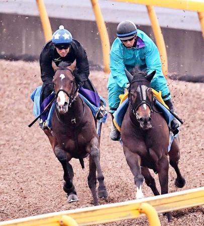 　併せ馬で負荷をかけられたヴィッテルスバッハ（左）