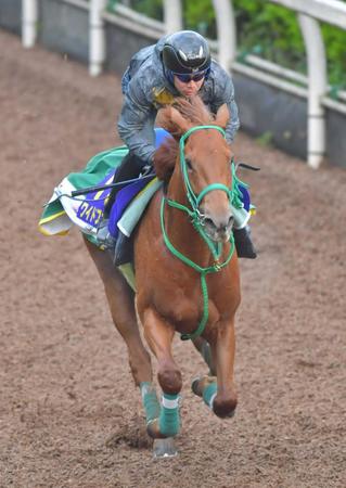 　軽快に登坂したワイドファラオ（撮影・石湯恒介）