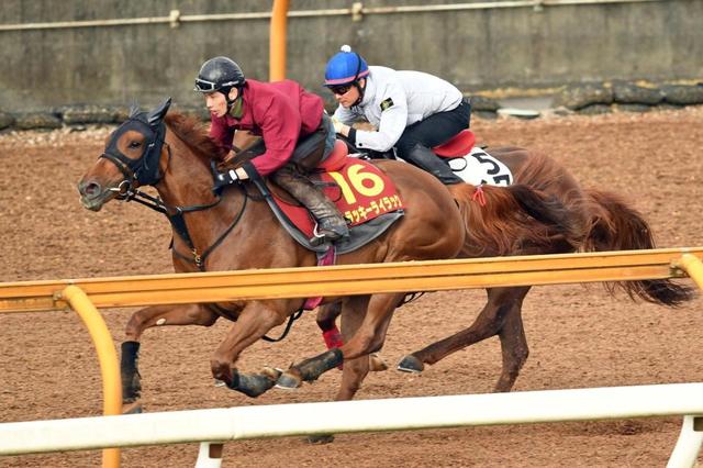 【ヴィクトリアマイル】ラッキーライラック　反撃へ切れ発揮　汚名返上へ