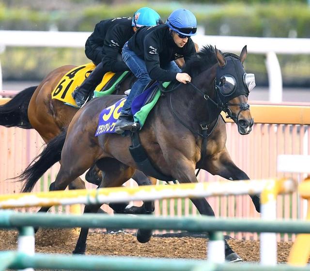 【ＮＨＫマイルＣ】アレグリアは４枠７番、マーズは８枠17番