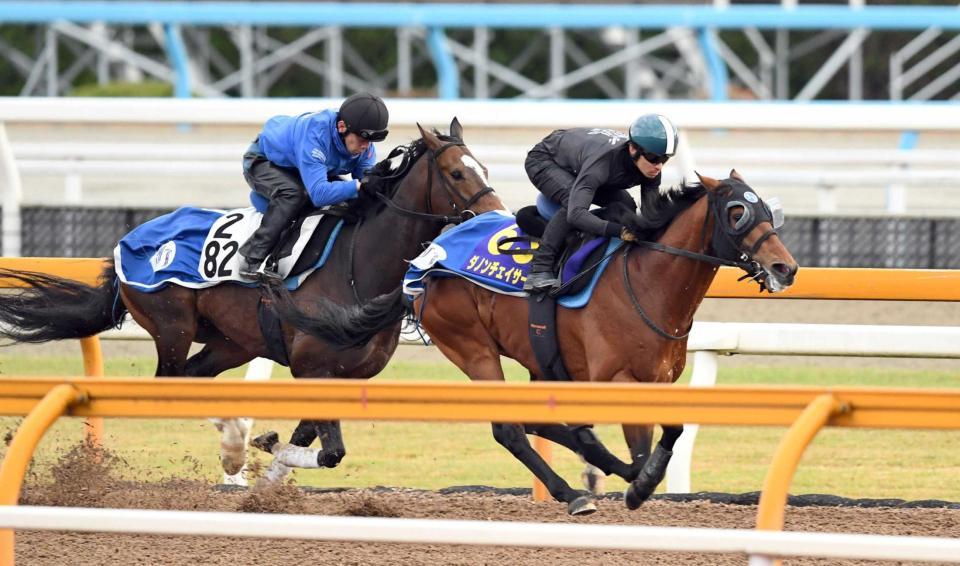 　きっちり先着を果たしたダノンチェイサー（右）＝撮影・佐藤厚