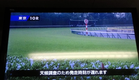 　ひょうのため発走が遅れている様子を映す場内モニター。手前は積もったひょう