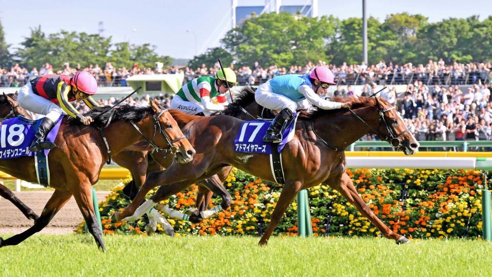 　朝日杯ＦＳ以来のＧ１制覇となったアドマイヤマーズ＝撮影・園田高夫