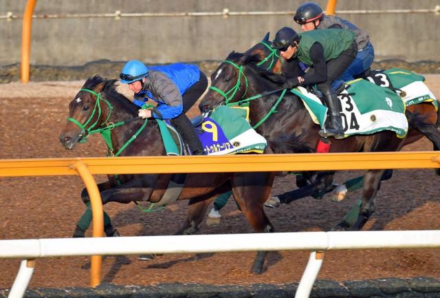 【日本ダービー】サートゥルナーリア　脚力見せつける　僚馬２頭を交わし去る