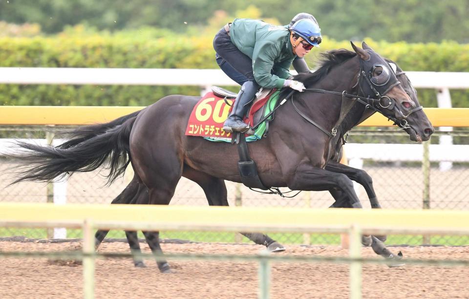 　美浦Ｗで追い切ったコントラチェック（撮影・園田高夫）