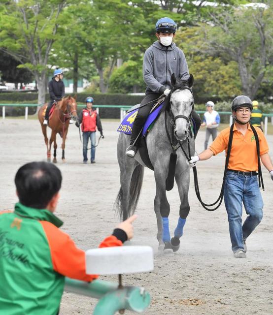 【日本ダービー】石川＆エメラルファイト　人馬の絆で相沢厩舎コンビ“二人三脚”