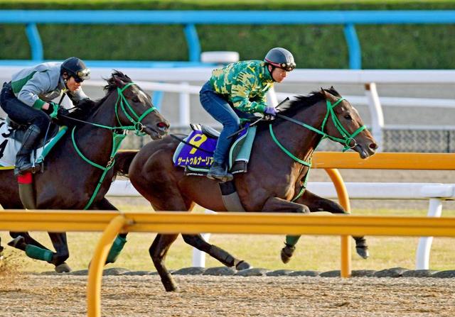 【日本ダービー】サートゥルナーリア 文句なし　史上７頭目の無敗２冠へ完璧仕上げ