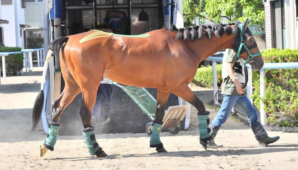 　到着したロジャーバローズ