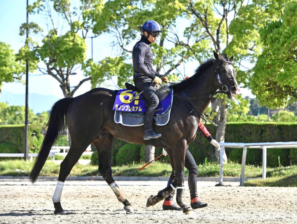 　完全復活を遂げたダノンプレミアム