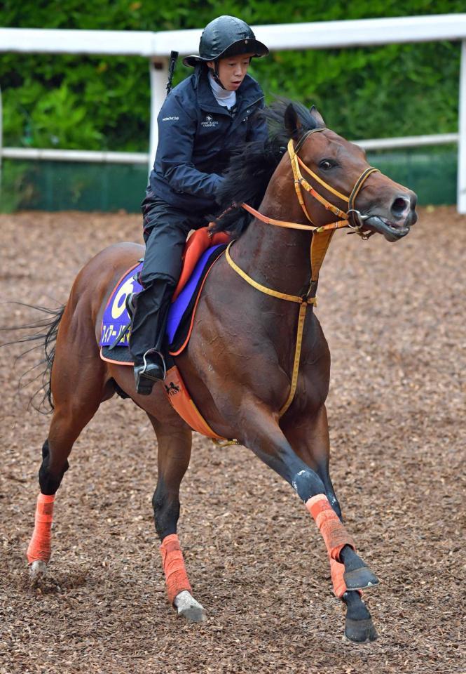 　充実ぶりが目を引くフィアーノロマーノ（撮影・石湯恒介）