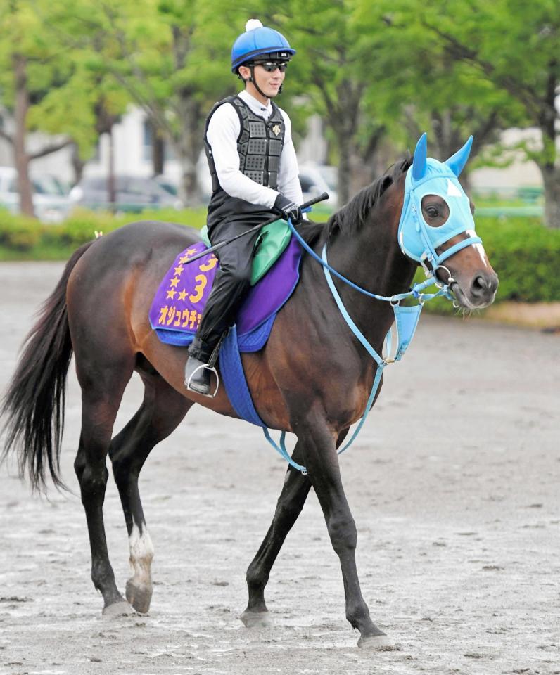 　オジュウチョウサンと宝塚記念を目指す石神