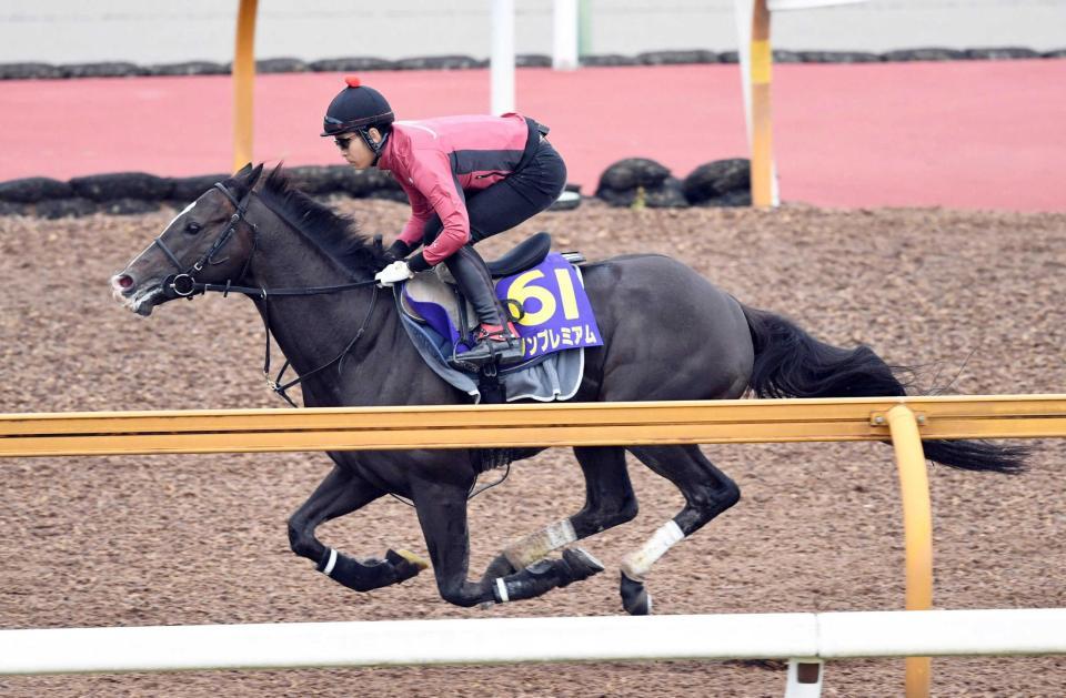 　栗東ＣＷで気持ち良さそうに末脚を伸ばしたダノンプレミアム