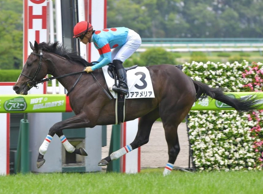 世代の一番星に輝いたリアアメリア＝阪神競馬場（撮影・石湯恒介）