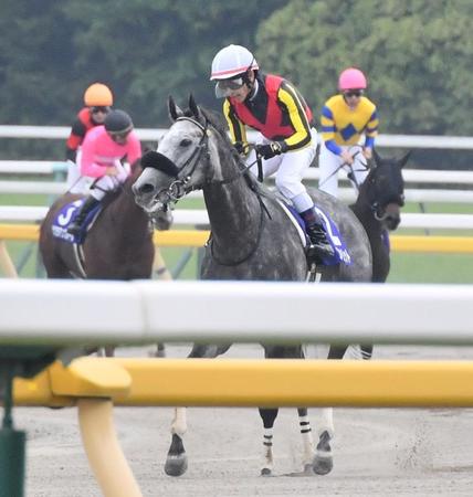 　惜しくも２着となったアエロリット