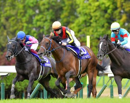 　今春の天皇賞を制したフィエールマン