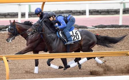 　栗東ＣＷで追い切るソーグリッタリング（手前）＝撮影・佐藤厚