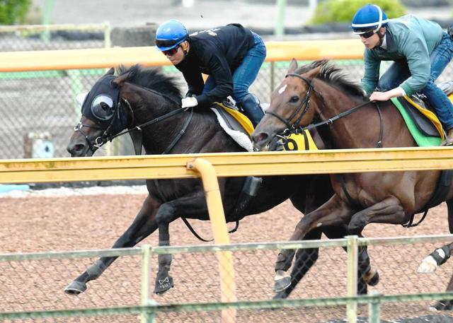 【エプソムＣ】レイエンダ　状態良好 時計平凡も好感触