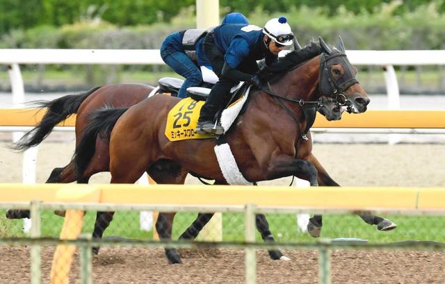 【エプソムＣ】ミッキースワロー　メリハリがついて弾んだ　重賞２勝目へ手応え