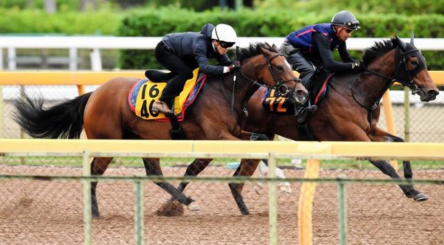 【マーメイドＳ】フローレスマジック　反応抜群　初タイトルへ鋭脚見せた！