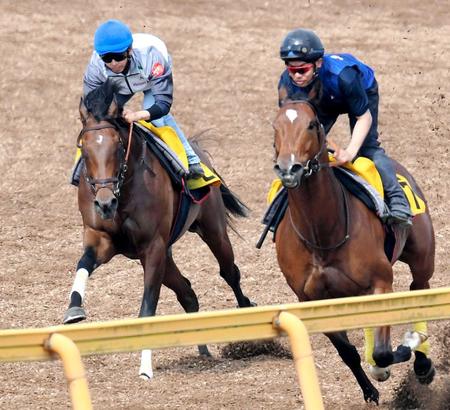 　柴田大を背に美浦Ｗ併せで追い切ったアンノートル（左）