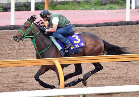 　栗東ＣＷで追い切るキセキ